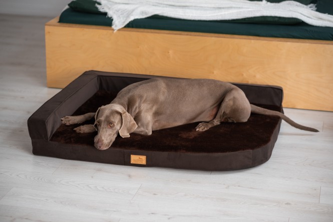 EINZELSTÜCK | Orthopädisches Hundesofa QUENTIN Velours  XL 120 cm Plüsch Braun