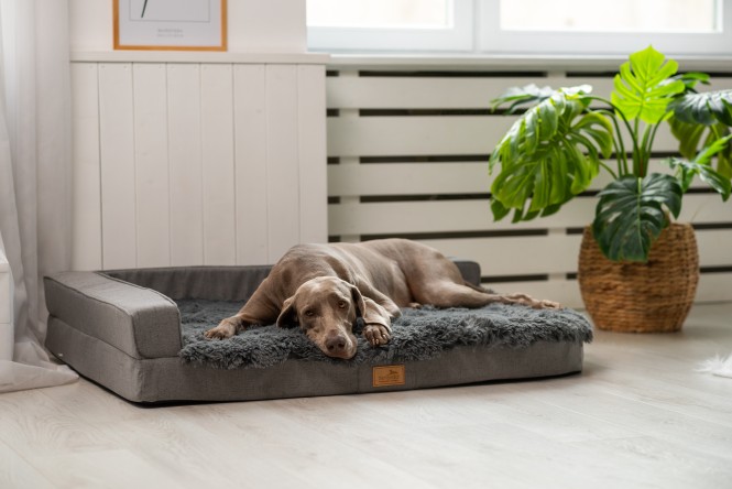 EINZELSTÜCK | Orthopädisches Hundesofa QUENTIN COUTURE  XL 120 cm Shaggy Graphit