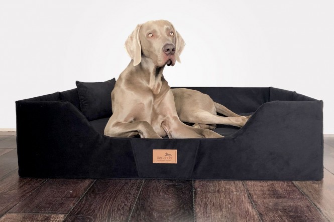 COLUMBUS | Orthopädisches Hundebett für Reisen und Urlaub mit Hund | Reisebett für Hunde - L ( 100 x 80 x 25 cm ) | 03 Schwarz