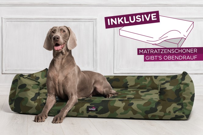 GOOFY | Orthopädisches Hundebett M+ | Camouflage