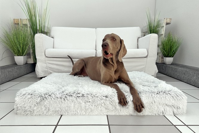 SALE | Orthopädisches Hundematratze PITT Shaggy Ortho Plus 150cm XXL Weiß Grau