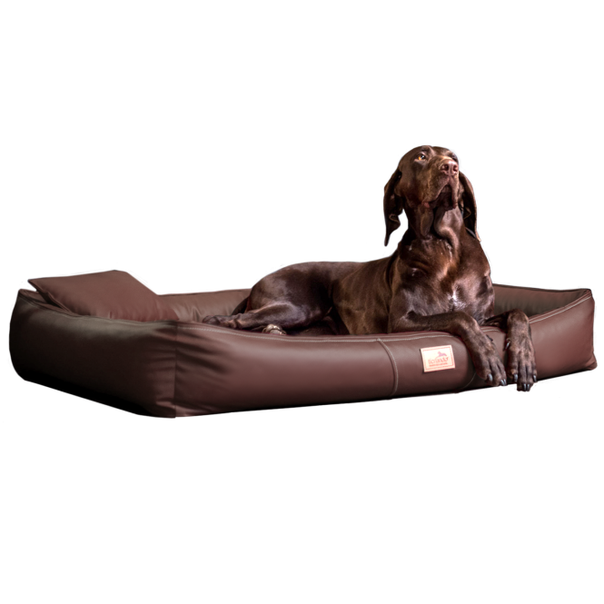 EINZELSTÜCK | Orthopädisches Hundebett CLIFFORD Anti-Haar | XXL 150cm | Dunkelbraun