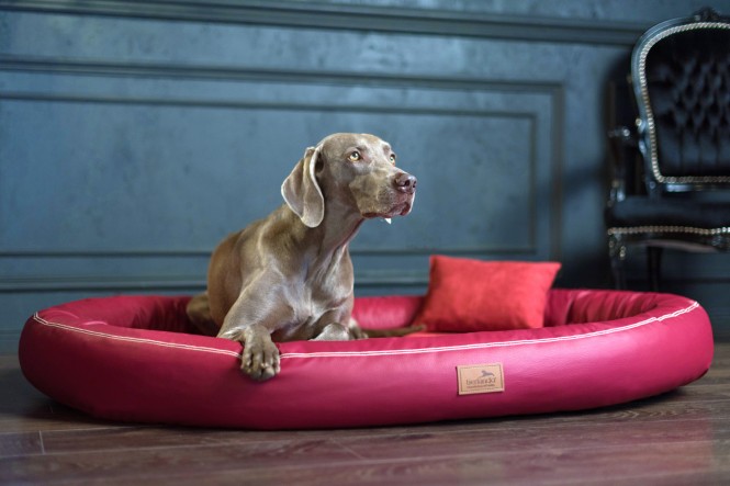 Weiche orthopädische Premium-Hundematratze GILBERT<br>Anti-Haar M 85 cm Kunstleder | 04 Bordeaux M | Bordeaux