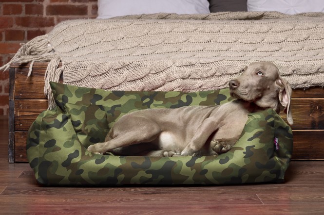 NEMO | Komfort Hundebett S | Camouflage