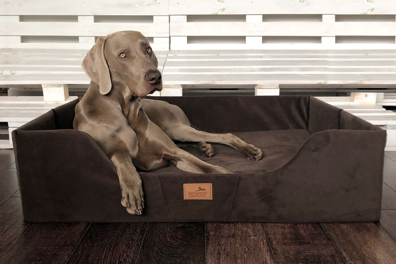 Kofferraumschutz für Hunde – Die 15 besten Produkte im Vergleich